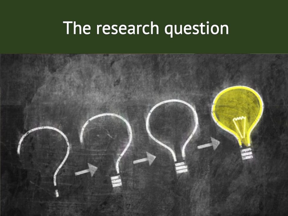 defining research questions