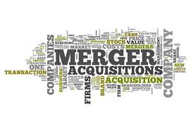 The Effect of Mergers and Acquisitions on the Shareholders value