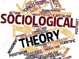 SOCIOLOGICAL THEORY IN PRACTICE | The Document Co | Essay Writing Service |
