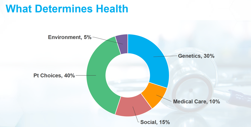 The Determinants of Health spending | The Document Co | Essay Writing Service