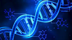 Molecular Biology – Gene Cloning