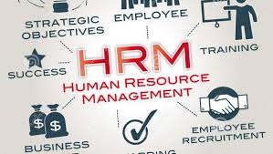 Human resource management- Literature Review