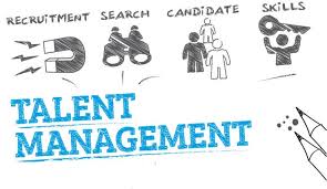 Critical Examination of Practices within SME’s and MNE Organizations: In the context of Talent Management.