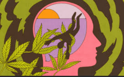 Does the Abuse of Cannabis Contribute to the Unset and Development of First Episode Psychosis (FEP) in Young Adults
