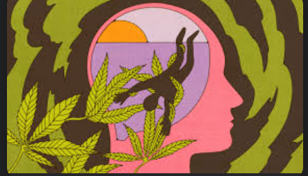 Cannabis abuse and youth psychosis.
