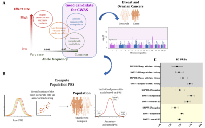 Research on how two proteins impact five key genes in two kinds of breast cells